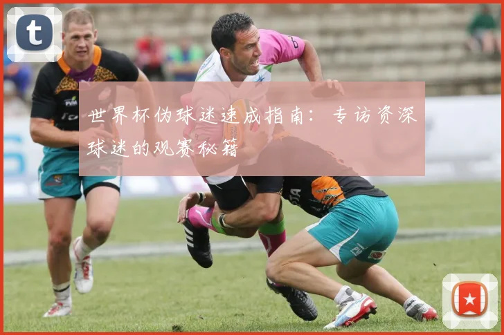 世界杯伪球迷速成指南:专访资深球迷的观赛秘籍