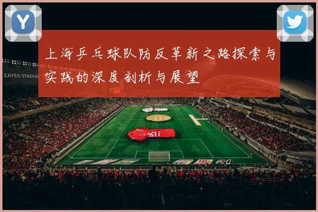 上海乒乓球队防反革新之路探索与实践的深度剖析与展望