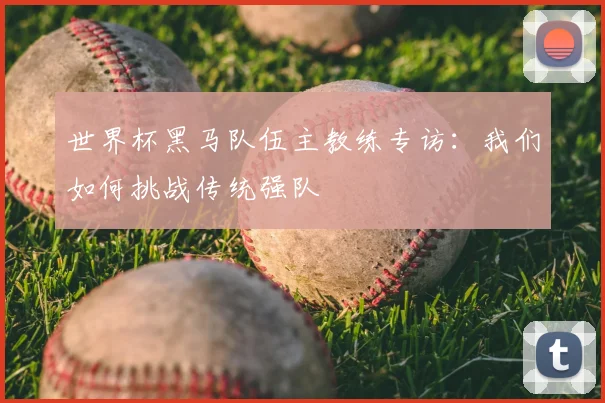 世界杯黑马队伍主教练专访:我们如何挑战传统强队