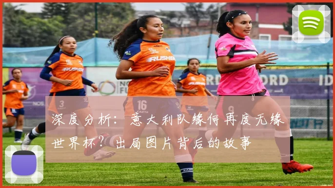 深度分析:意大利队缘何再度无缘世界杯?出局图片背后的故事