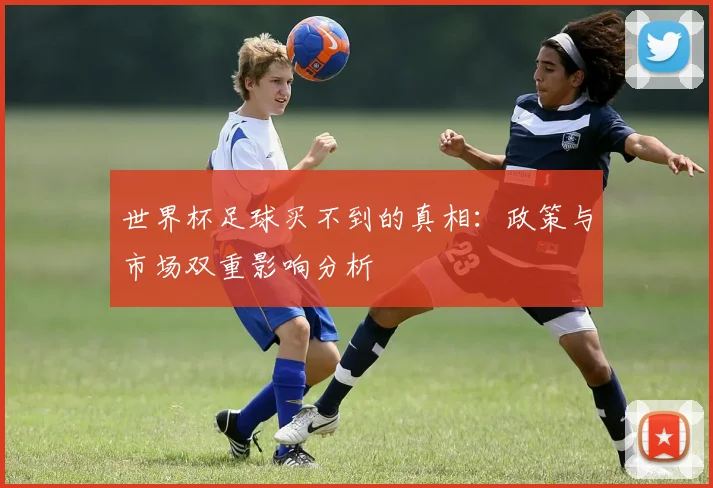 世界杯足球买不到的真相:政策与市场双重影响分析