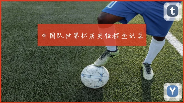 中国队世界杯历史征程全记录