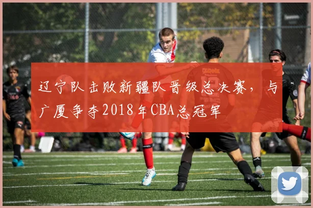 辽宁队击败新疆队晋级总决赛,与广厦争夺2018年CBA总冠军