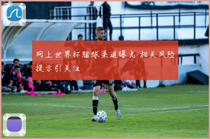 网上世界杯赌球渠道曝光 相关风险提示引关注