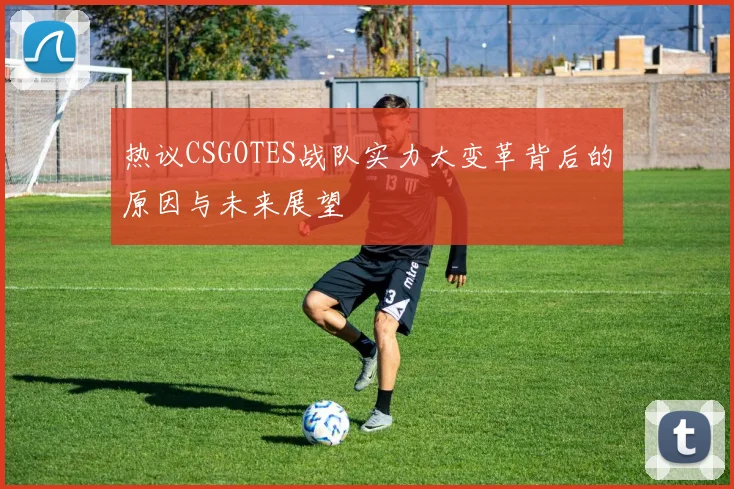 热议CSGOTES战队实力大变革背后的原因与未来展望