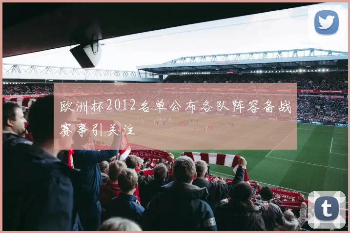 欧洲杯2012名单公布各队阵容备战赛事引关注