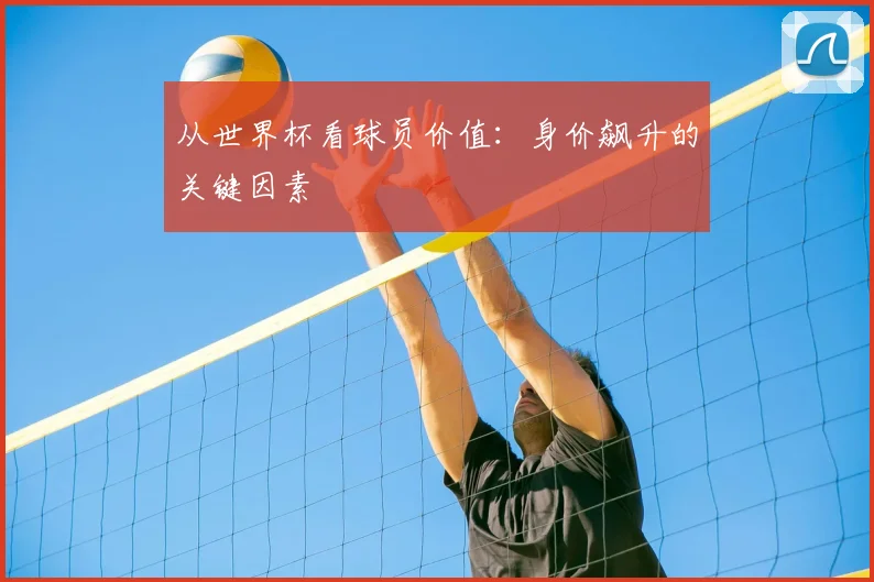 从世界杯看球员价值：身价飙升的关键因素