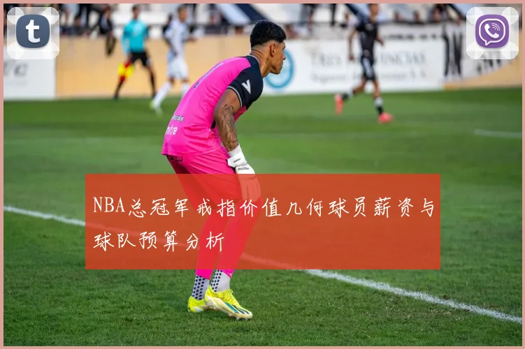 NBA总冠军戒指价值几何球员薪资与球队预算分析