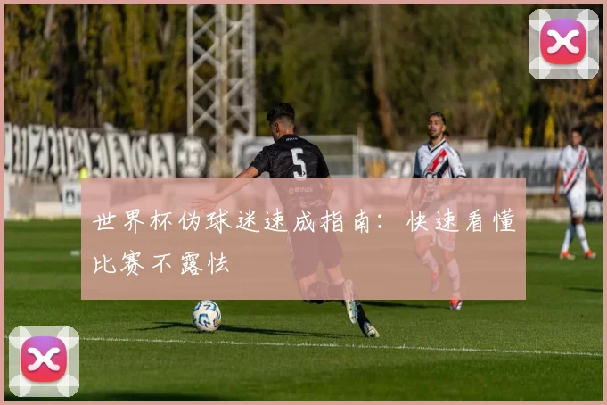 世界杯伪球迷速成指南：快速看懂比赛不露怯