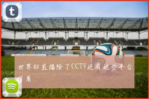 世界杯直播除了CCTV还有这些平台可看