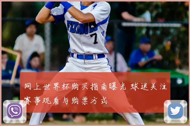 网上世界杯购买指南曝光 球迷关注赛事观看与购票方式