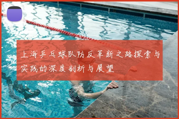 上海乒乓球队防反革新之路探索与实践的深度剖析与展望