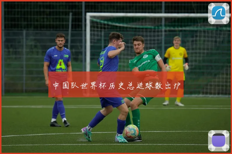 中国队世界杯历史总进球数出炉