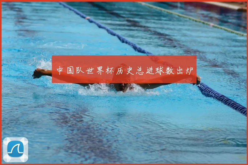中国队世界杯历史总进球数出炉