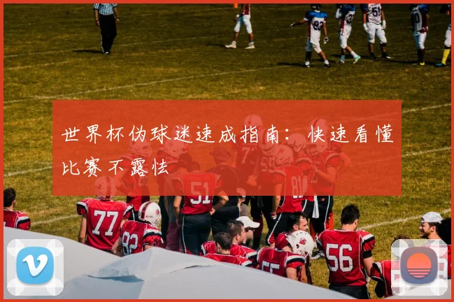 世界杯伪球迷速成指南:快速看懂比赛不露怯