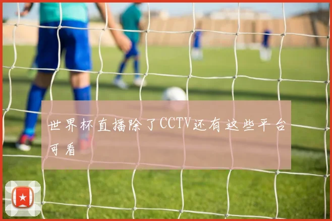 世界杯直播除了CCTV还有这些平台可看
