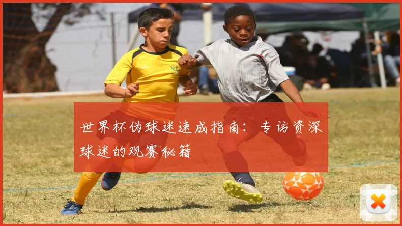 世界杯伪球迷速成指南：专访资深球迷的观赛秘籍
